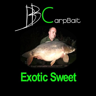 B-B Carp Bait