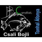 Csali Bojli 20-24 mm vegyes 150 g Big Fish