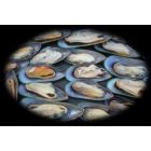 Extrém XXL Kagylós 35 mm golyó 250 g